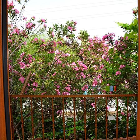 Villa Poseidon Dalyan Exteriér fotografie