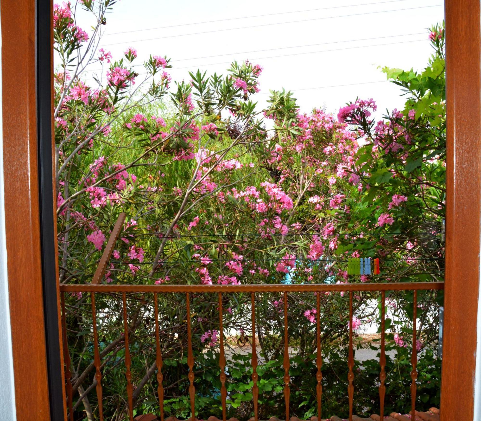 Villa Poseidon Dalyan Exteriér fotografie